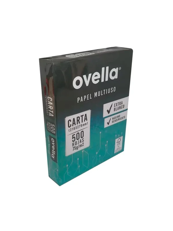 Resma papel carta 10 unidades Ovella